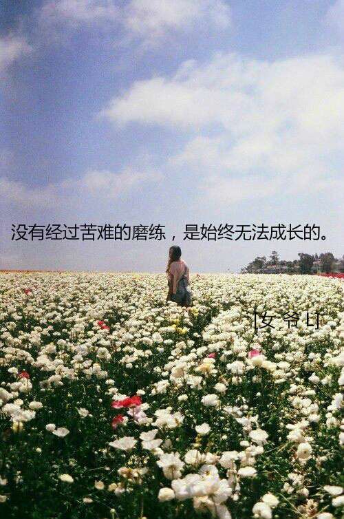 没有你我照样活的潇洒
