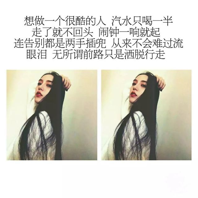 像猫 遇到一点温暖就把那当家