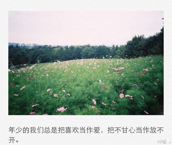 年少的我们总是把喜欢当做爱，把不甘心当做放不开。