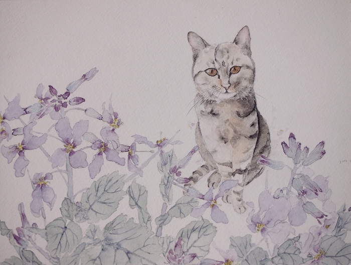 猫先生和植物