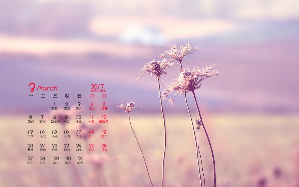 2017年3月唯美花卉高清桌面日历壁纸