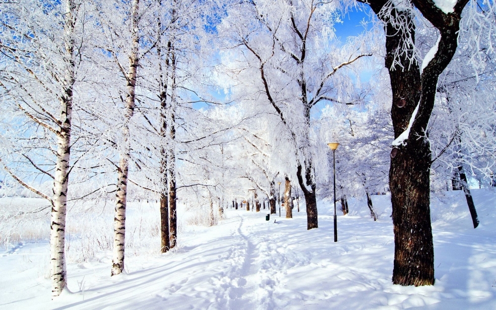 好看的雪景图片壁纸