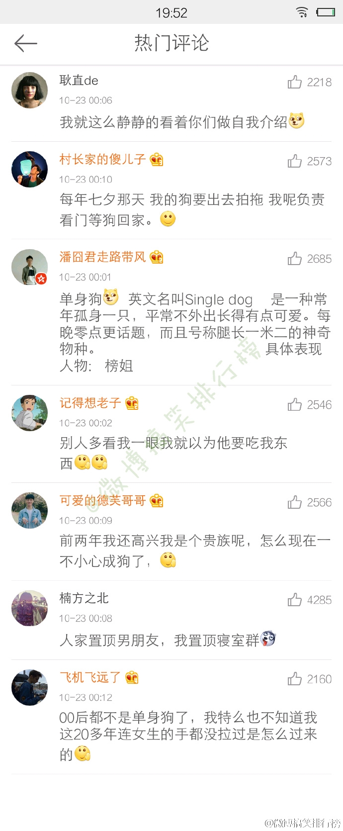 单身狗是怎样的一种生物