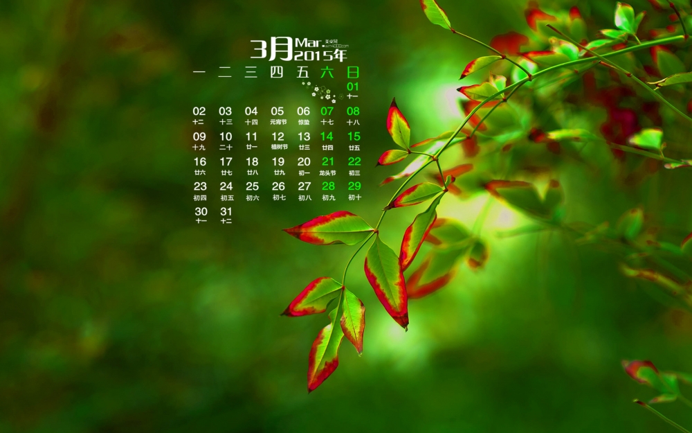 2015年3月日历壁纸万绿从中一点红绿色清新护眼植物风景高清图片下载