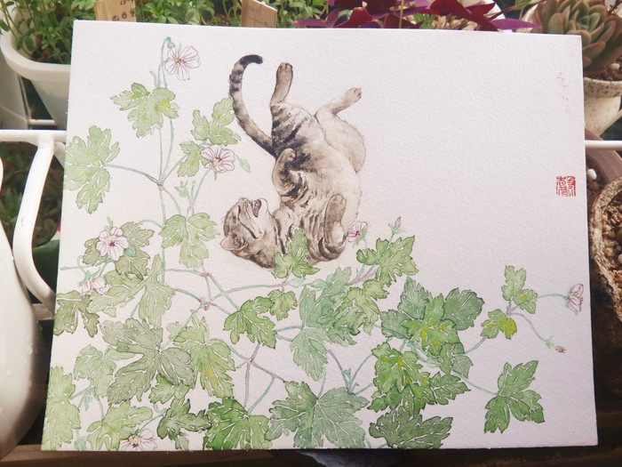 猫先生和植物