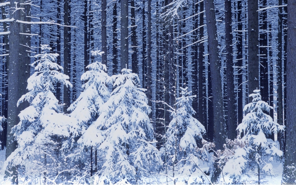 唯美雪景山川