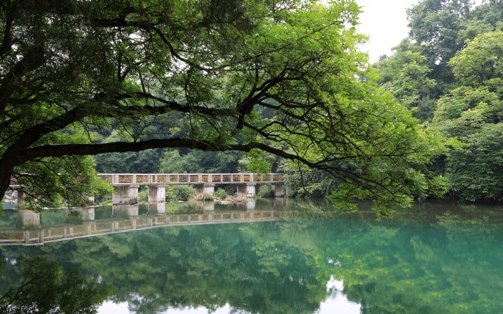 花溪公园静谧湖水桌面壁纸