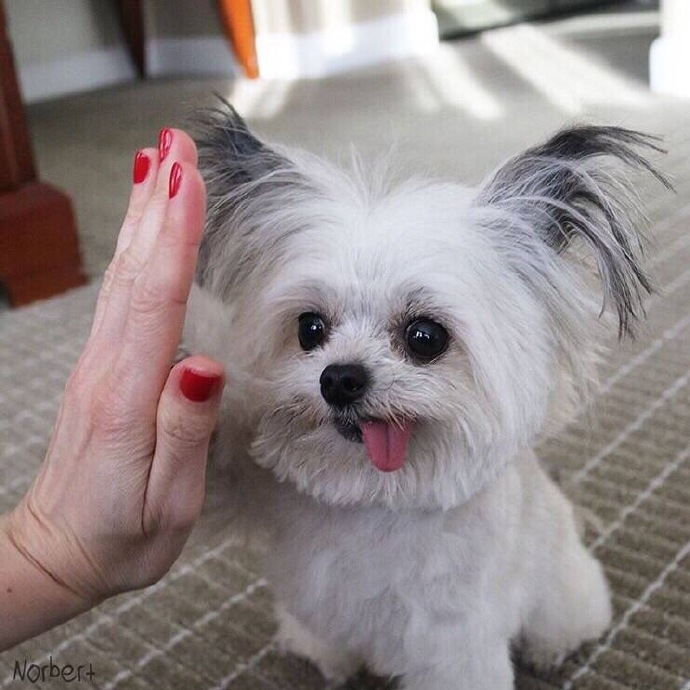起风了：give me five！