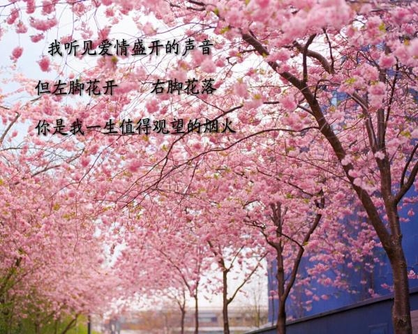 文字美图 不闻不问不痛不痒