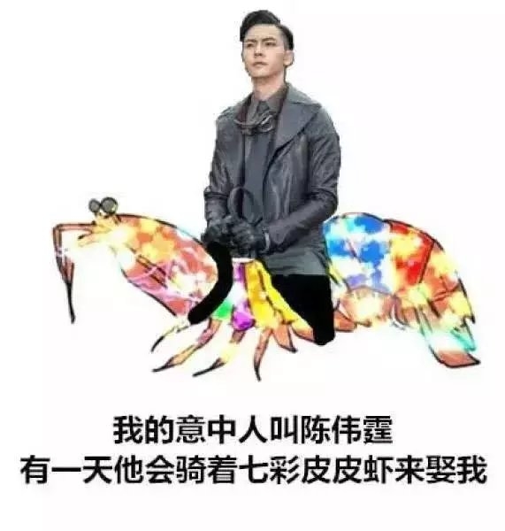 你的意中人，总有一天会骑着七彩皮皮虾来娶你.