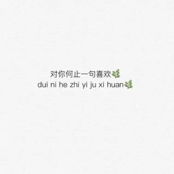 微风轻轻起，我好喜欢你.