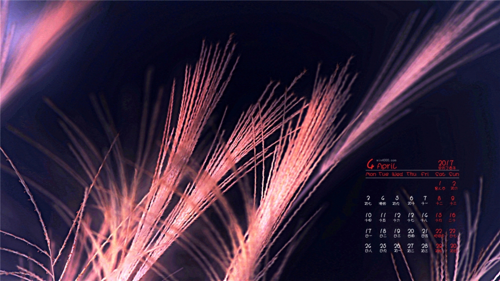 2017年4月唯美的野草高清日历壁纸