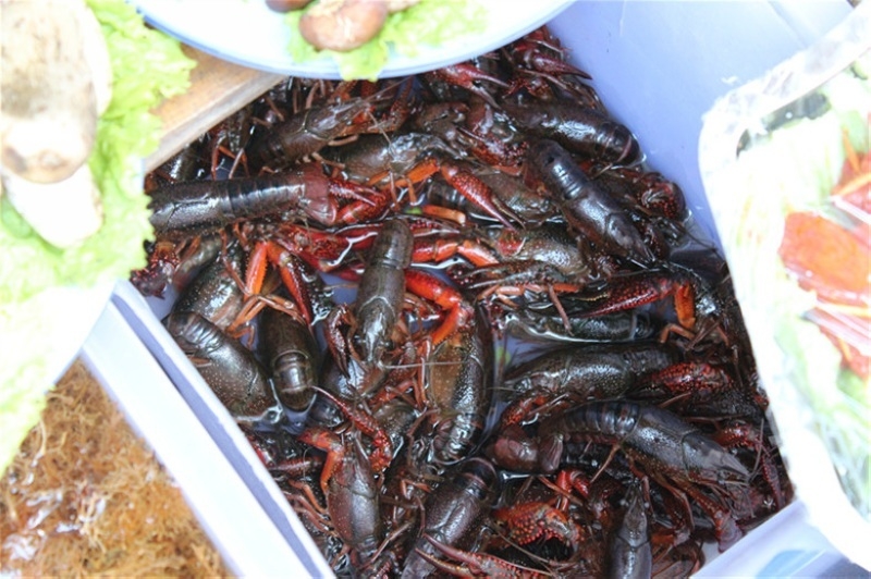 吃在云南 让人恋恋不忘的极品美味