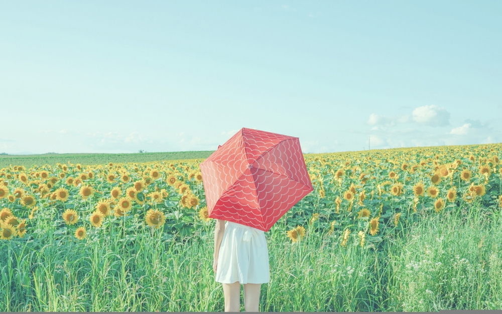 非主流清新葵花少女高清电脑桌面壁纸