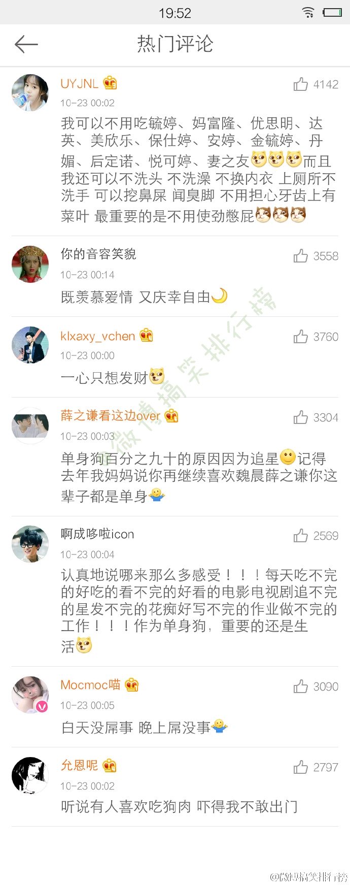 单身狗是怎样的一种生物
