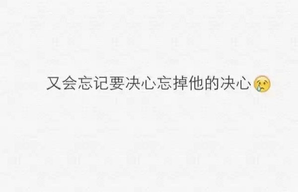 陪我到最后的是什么人