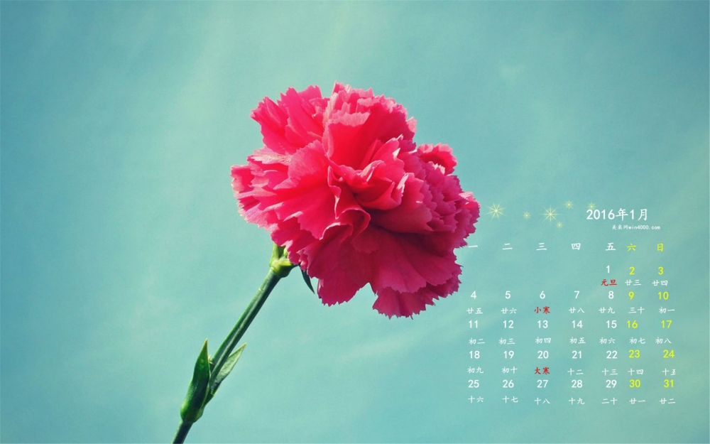 2016年1月日历简约的花卉桌面壁纸下载