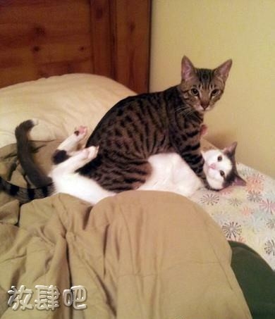 你俩在干嘛？