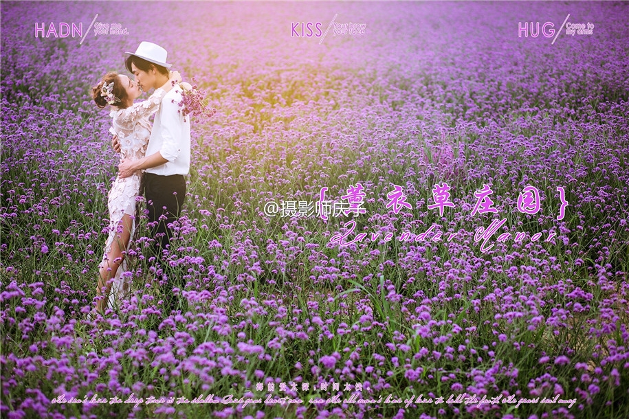 薰衣草庄园 婚纱照