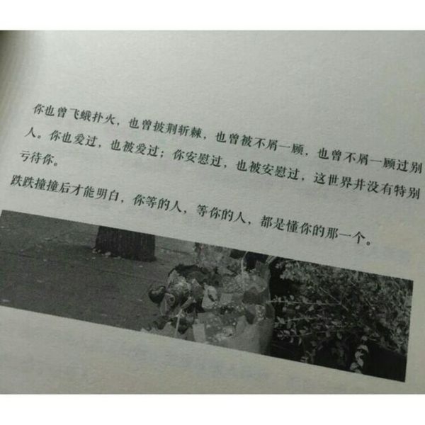 时间与结局，都不能影响我们爱你