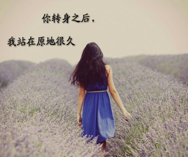 文字美图 不闻不问不痛不痒