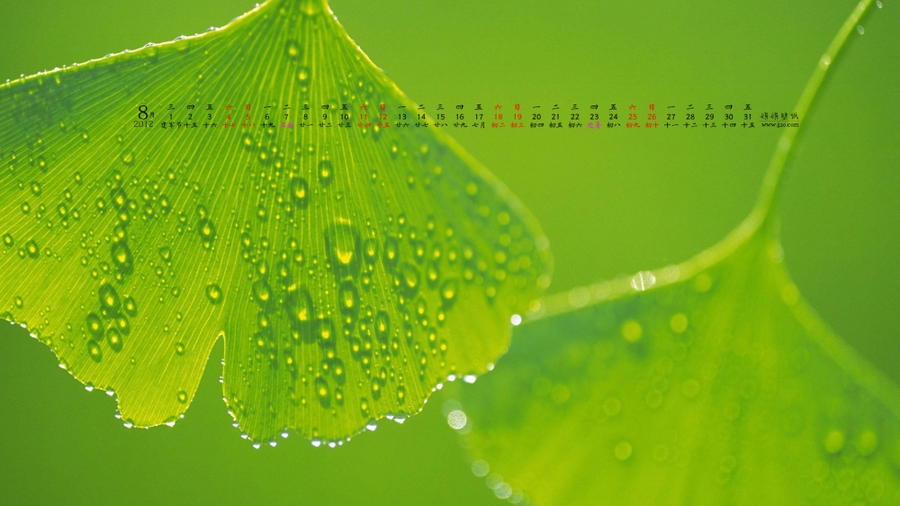 2012年8月日历桌面壁纸