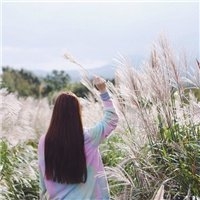 夏天有海风吹过的蓝天           小清新微信女生头像