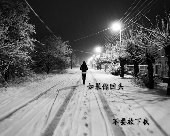 文字美图 不闻不问不痛不痒