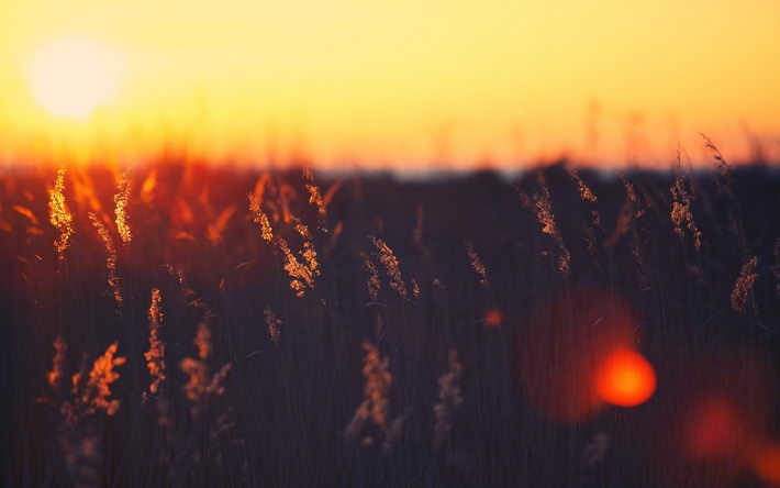 唯美夕阳风光高清壁纸大全