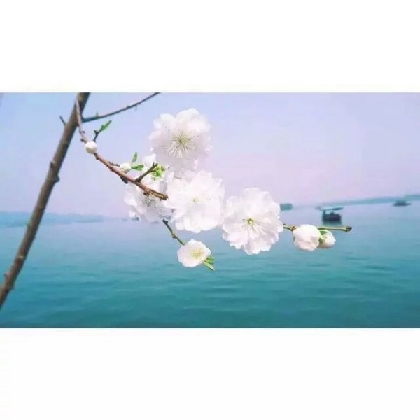 彼此温暖，互不辜负
