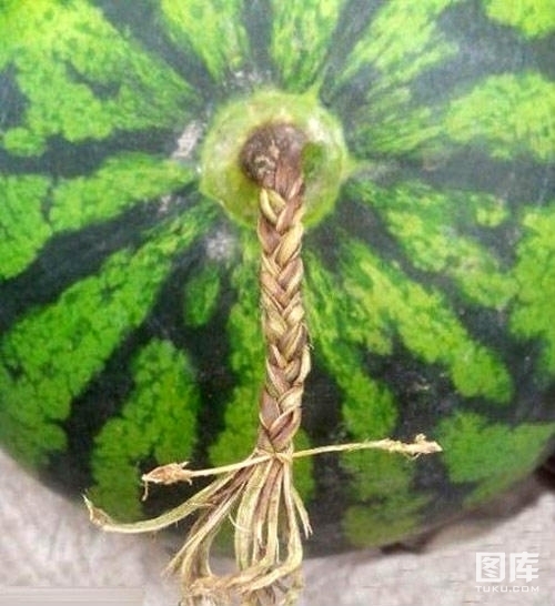 秀色可餐 创意蔬菜水果