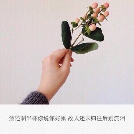 喝着烈酒迎着清风笑着离别。