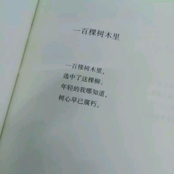 书摘/你又会为谁停下 ​​​