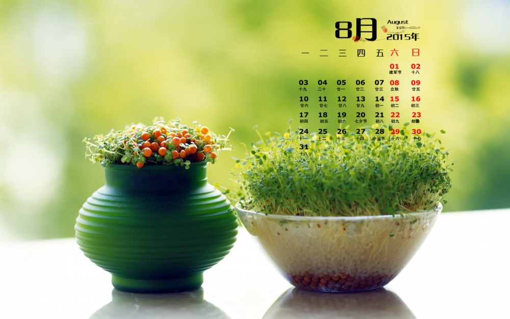 2015年8月日历精选绿色护眼高清电脑桌面壁纸下载3