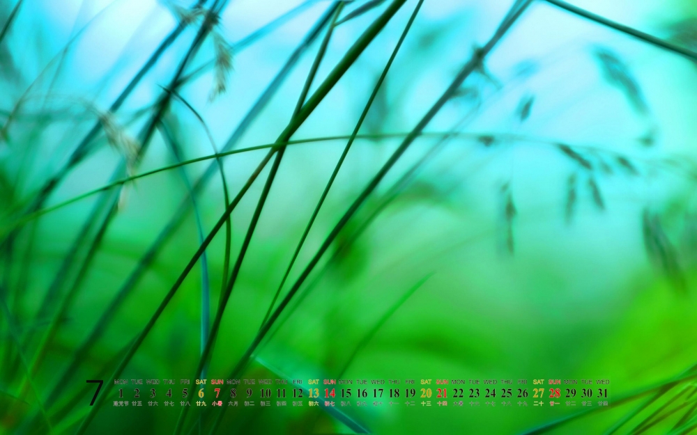 2013年7月桌面风景日历绿色植物