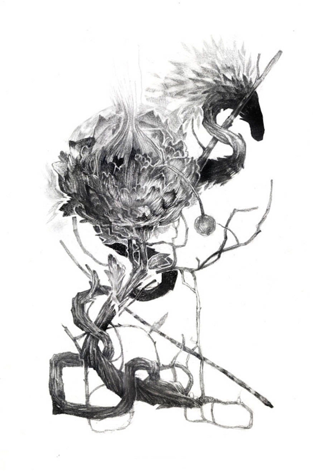 法国插画师Thibault Daumain狐狸系列手机壁纸