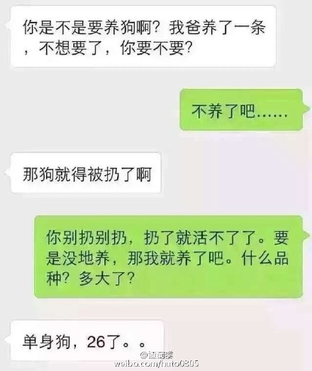 单身狗创意搞笑表白