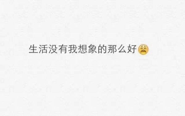 陪我到最后的是什么人