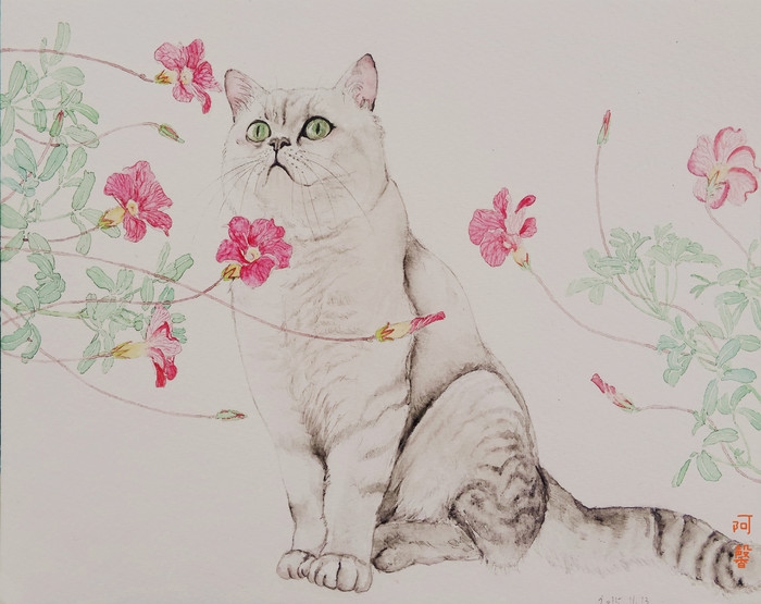 猫先生和植物