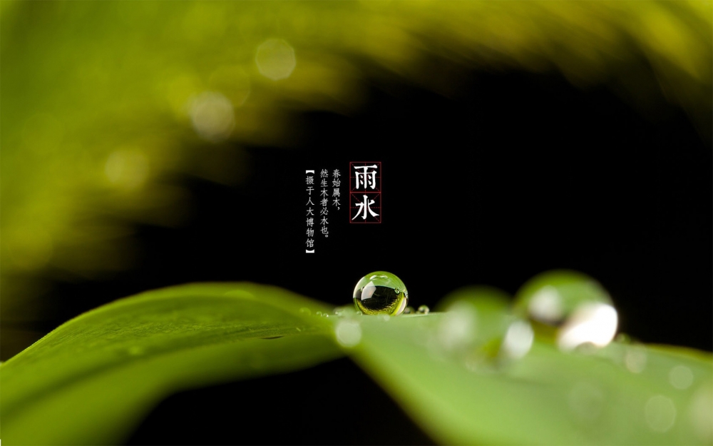 24节气雨水景色电脑桌面壁纸