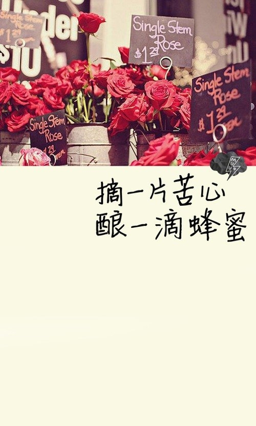想念和默契分离，能替代一切言语