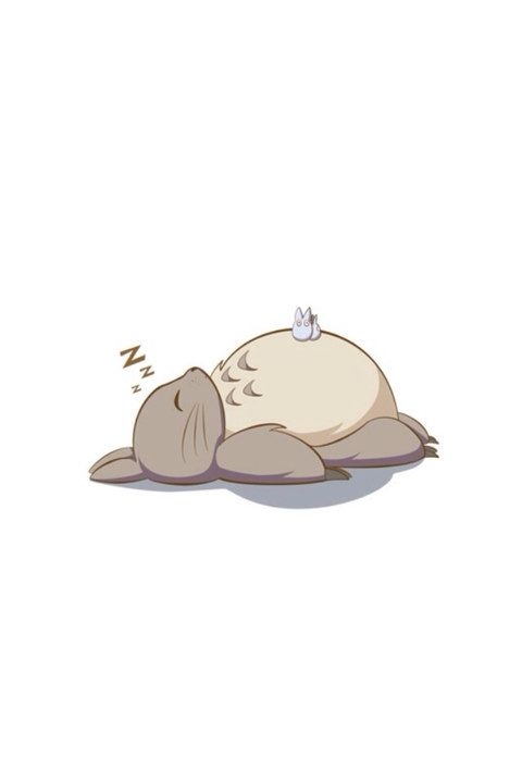 永远的龙猫 好可爱滴