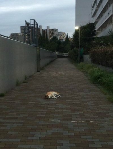 一位行人走在路上突然想起自己没有女盆友