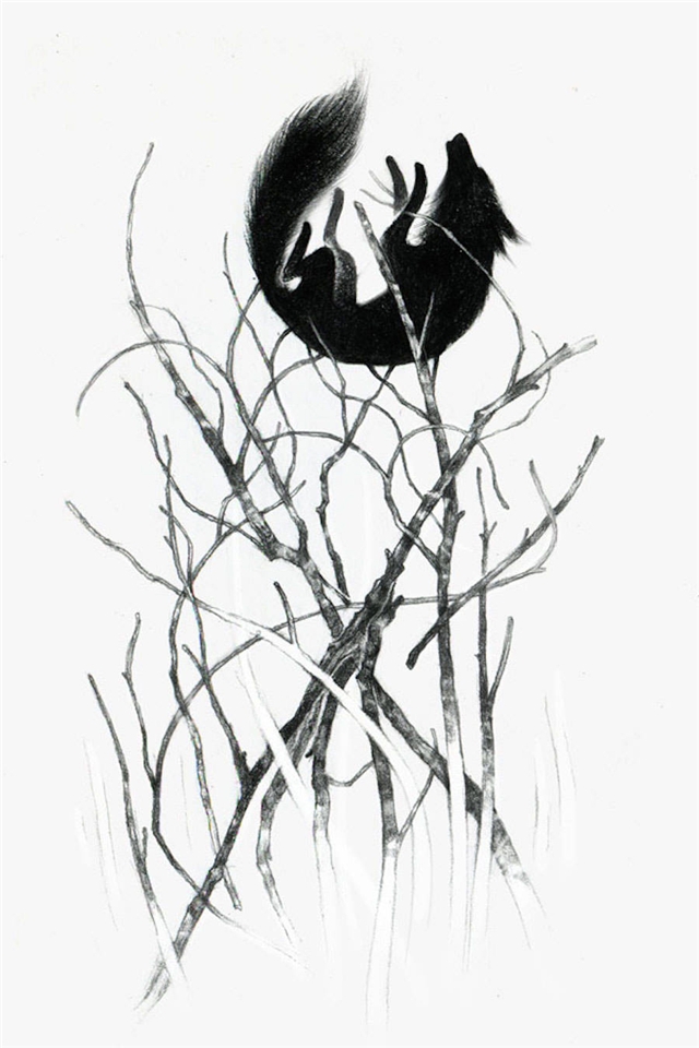 法国插画师Thibault Daumain狐狸系列手机壁纸