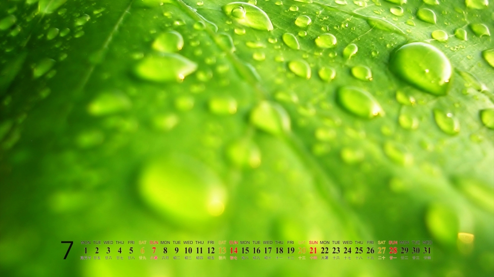 2013年7月桌面风景日历绿色植物