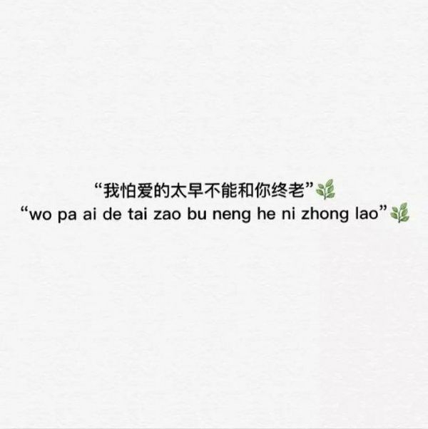 你站的方向，连风吹过来都是暖的