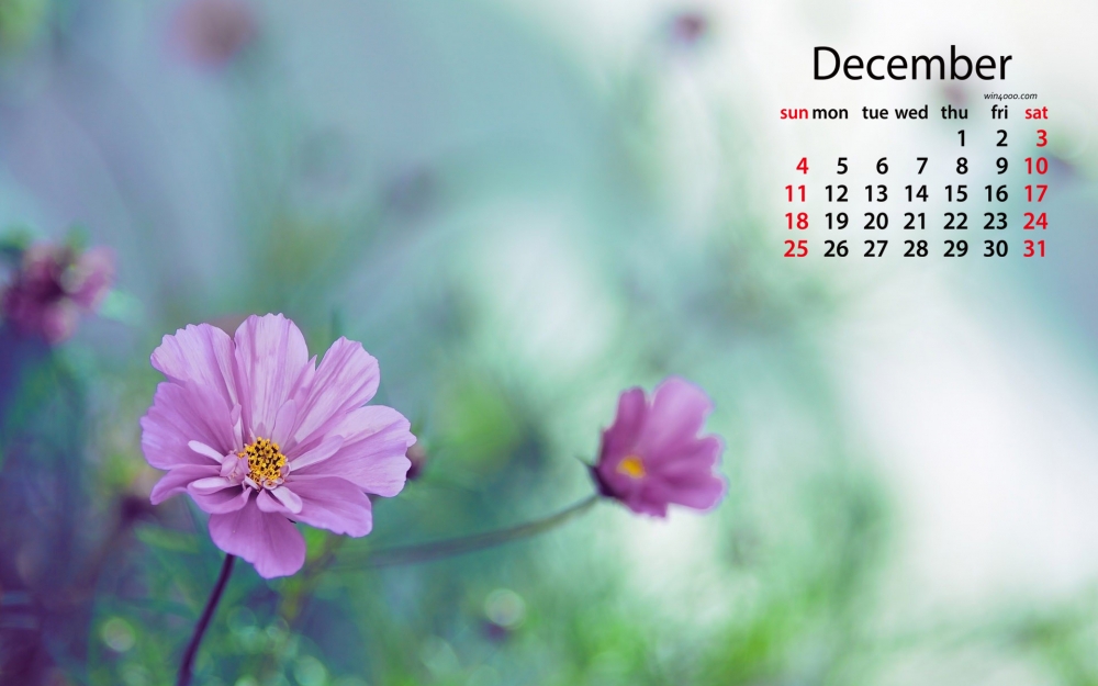 2016年12月日历绿色清新风景桌面壁纸