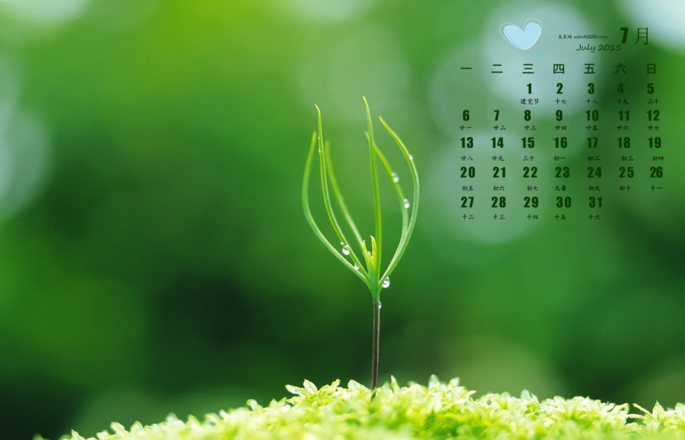 2015年7月日历精选润眼系列春季新芽嫩叶壁纸下载