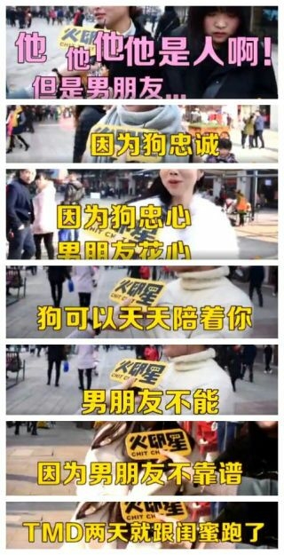 十年的狗和一年的男朋友 谁更重要?