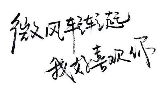 也许一开始我们就错了。